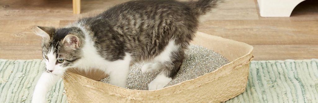 pet litter pet litter bentonite