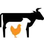 farm animals